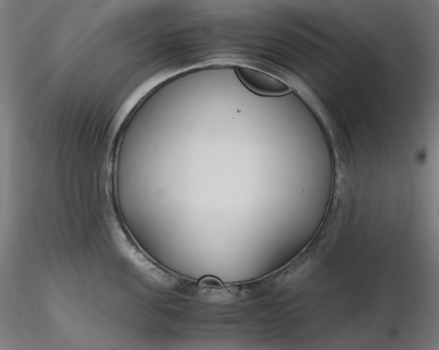 X0000116460955200912231358