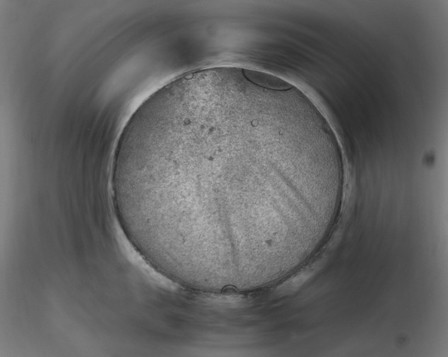 X0000116460957200912231358