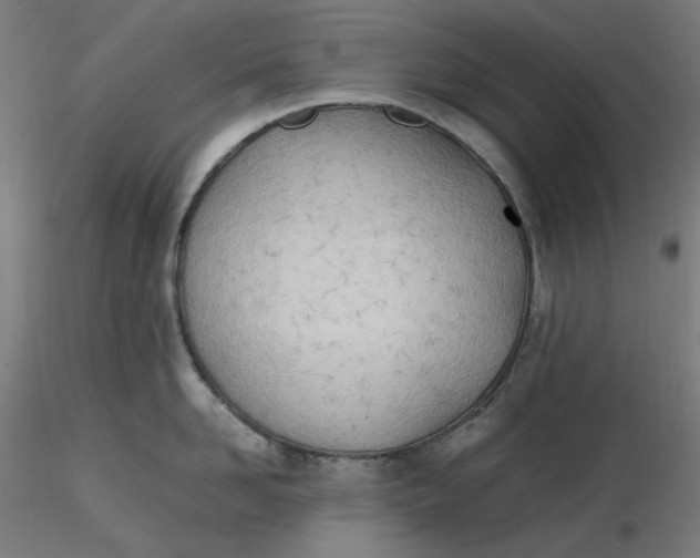 X0000116460958200912231358