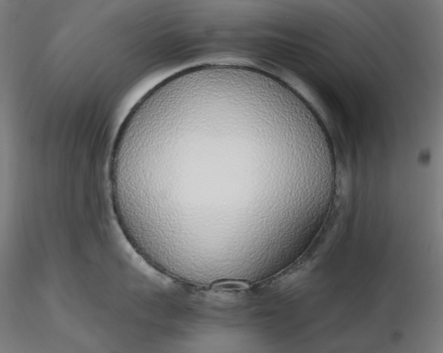 X0000116460959200912231358