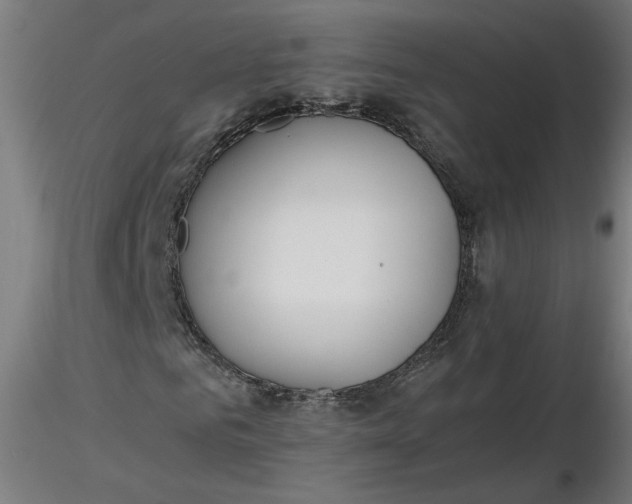 X0000116460961200912231357
