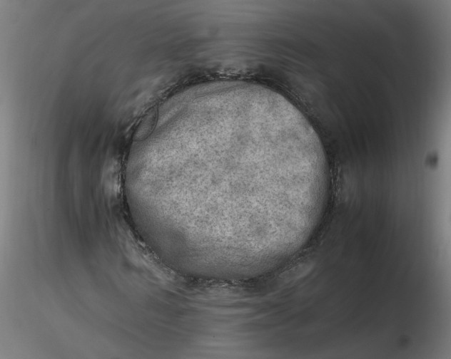 X0000116460962200912231357