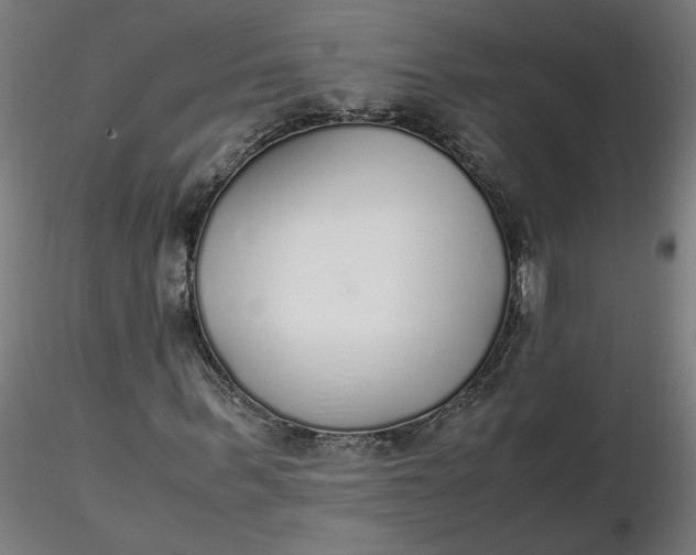 X0000116460963200912231357