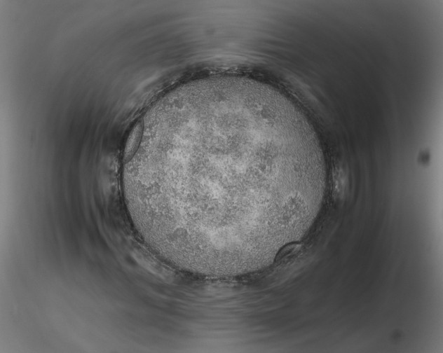X0000116460964200912231357