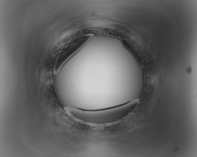 X0000116460965200912231357
