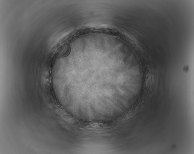 X0000116460966200912231357