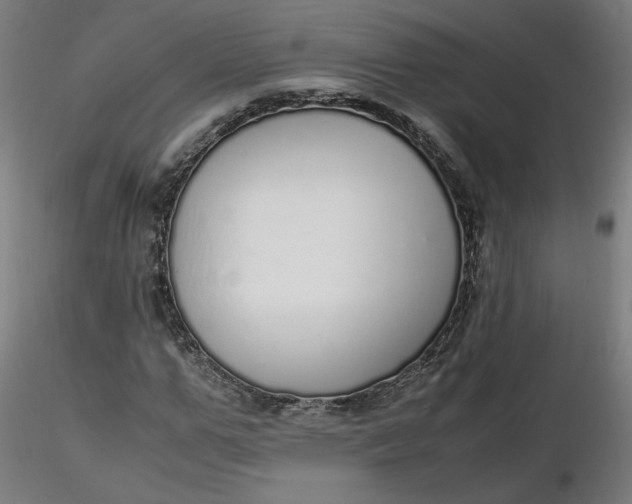 X0000116460967200912231357