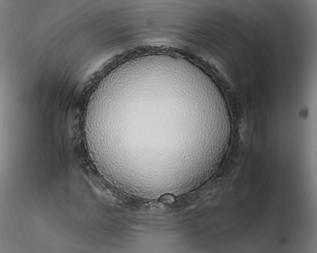 X0000116460968200912231357