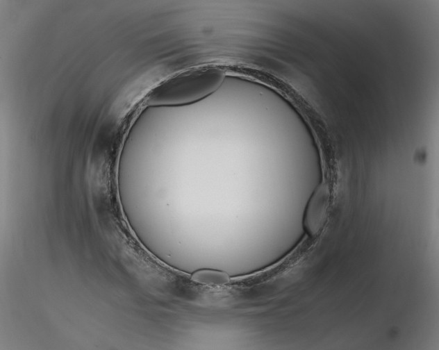 X0000116460969200912231357