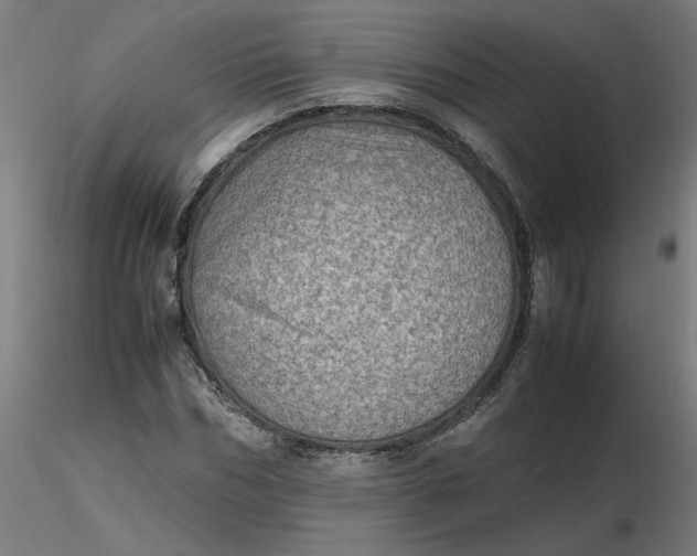 X0000116460970200912231357