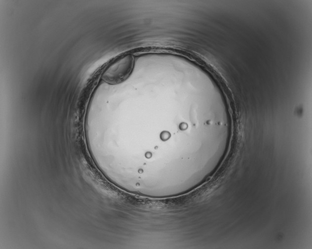 X0000116460971200912231357