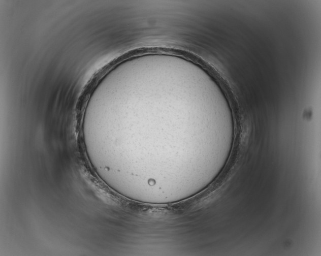 X0000116460974200912231357