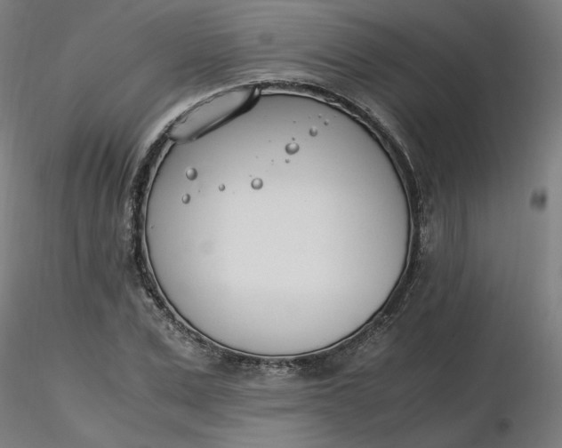 X0000116460975200912231357