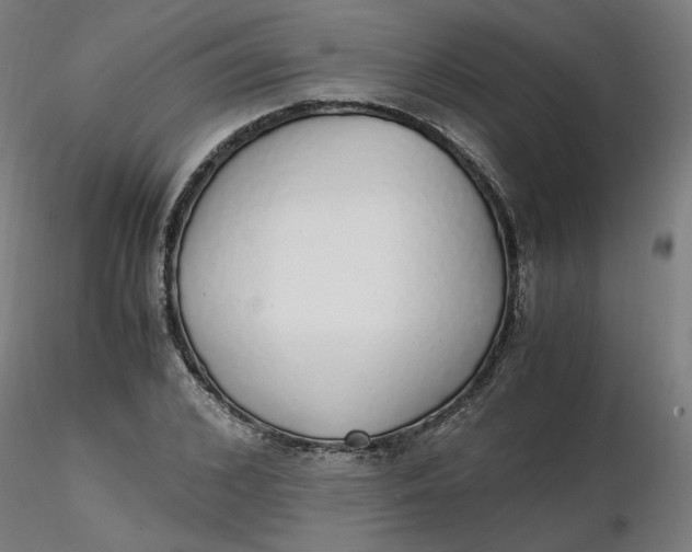 X0000116460976200912231357