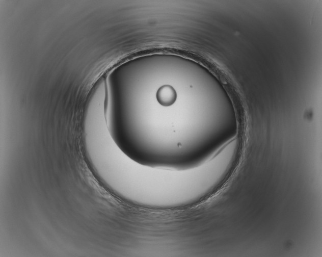 X0000116460977200912231357