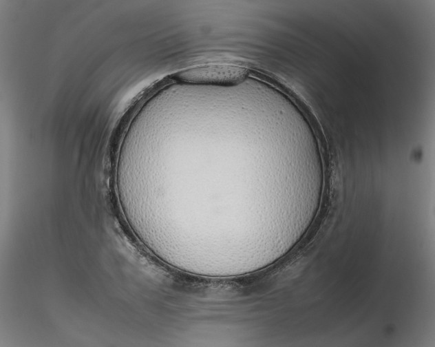 X0000116460979200912231357