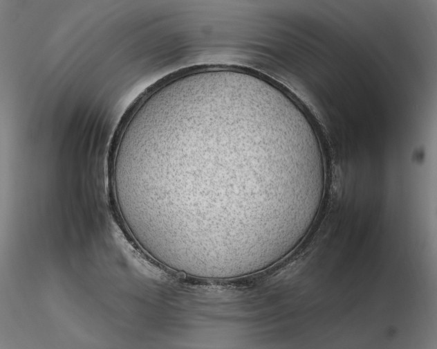 X0000116460980200912231357