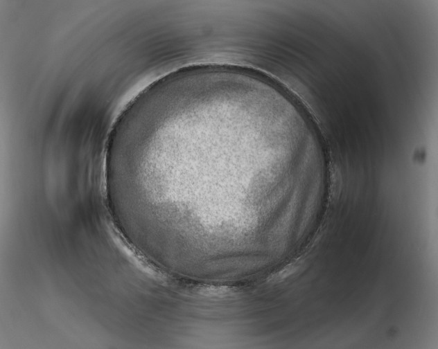 X0000116460982200912231357