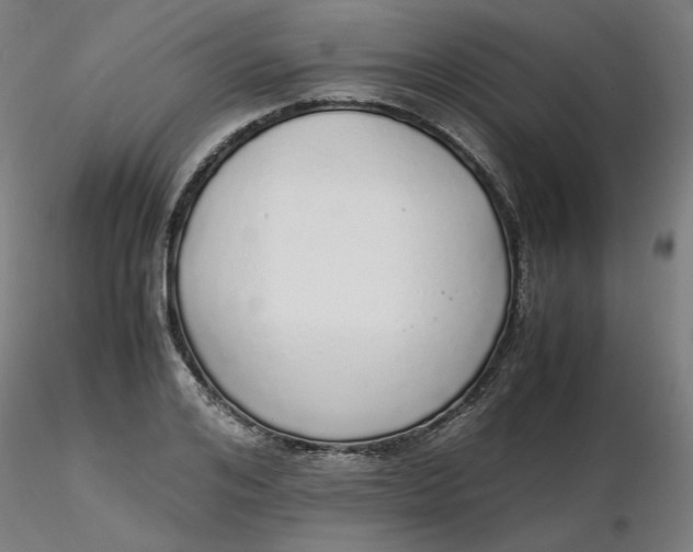 X0000116460984200912231357
