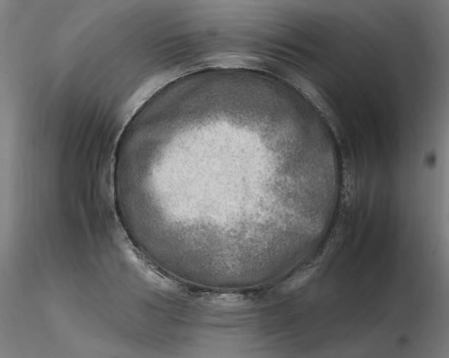 X0000116460986200912231357