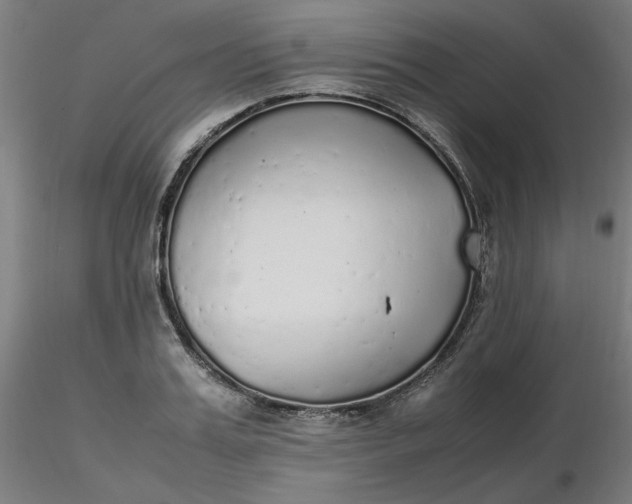 X0000116460987200912231357