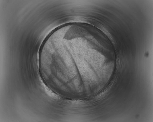 X0000116460988200912231357