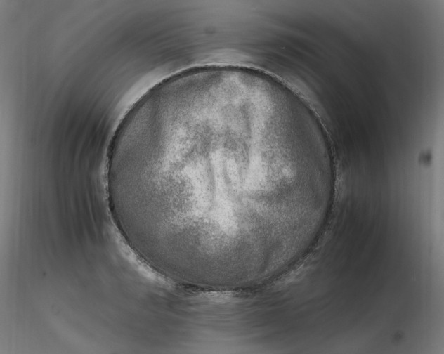 X0000116460990200912231357