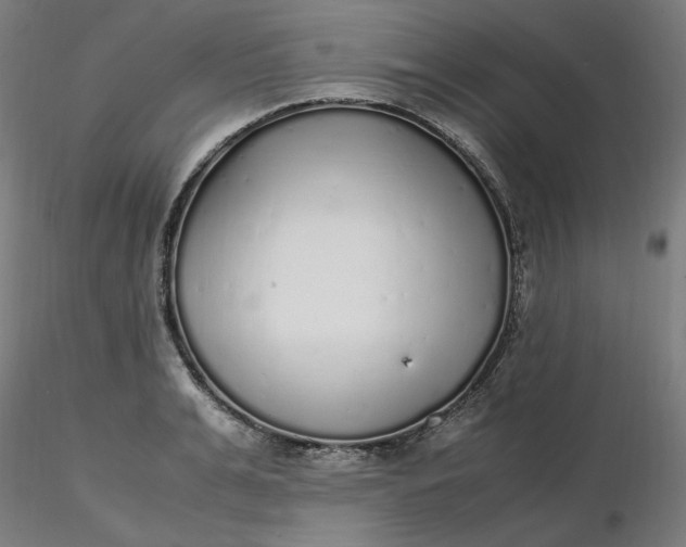 X0000116460991200912231357