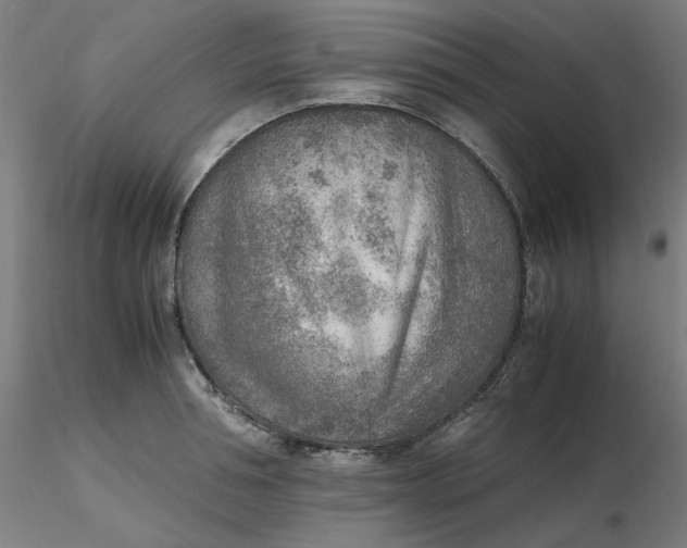 X0000116460994200912231357