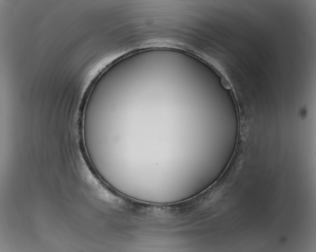 X0000116460995200912231357