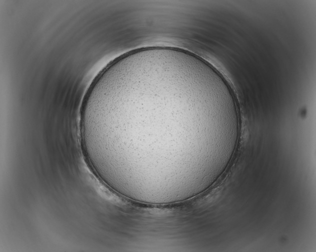 X0000116460996200912231357