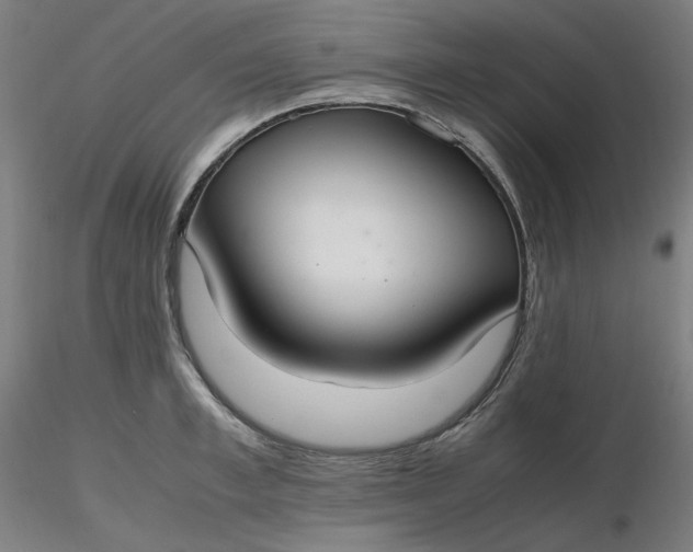 X0000116460997200912231357