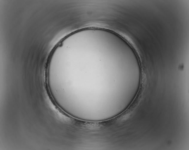 X0000116460999200912231357