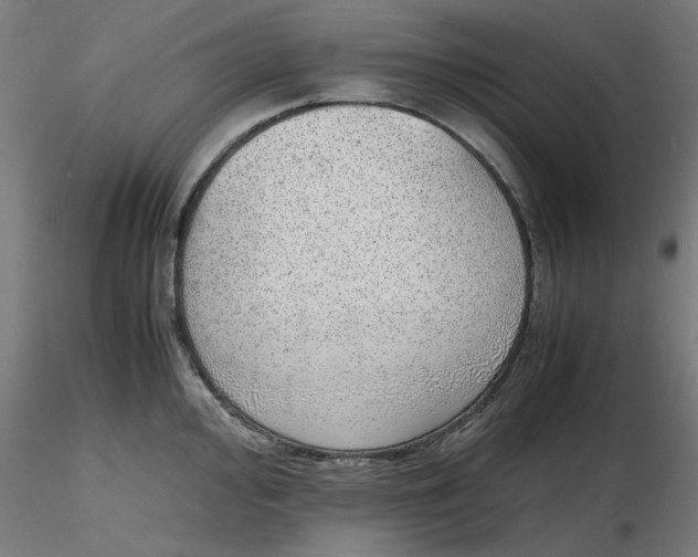 X0000116461000200912231357