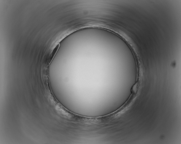 X0000116461001200912231357