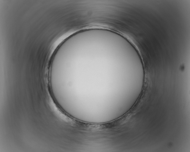 X0000116461003200912231357