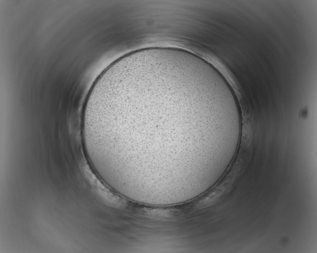 X0000116461004200912231357