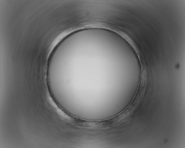 X0000116461005200912231357