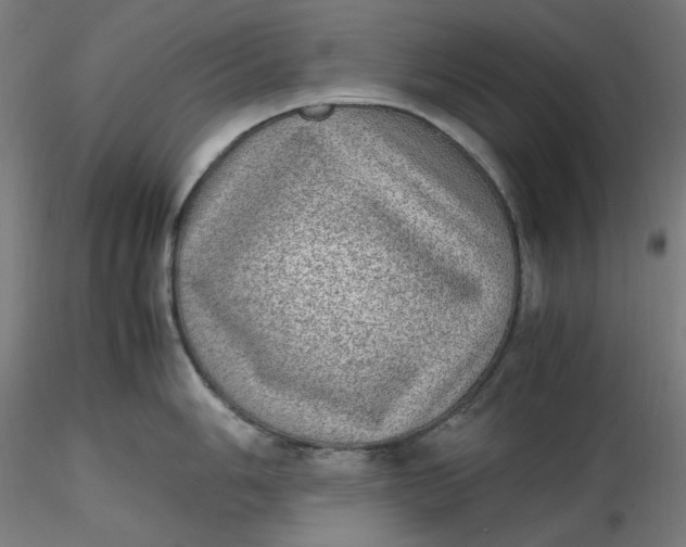 X0000116461006200912231357