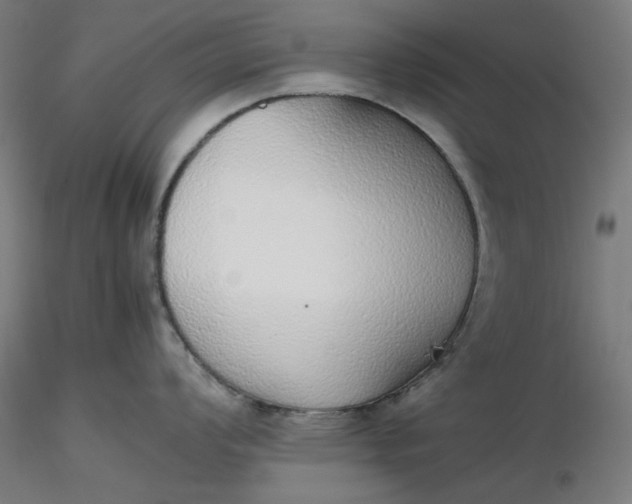 X0000116461008200912231357