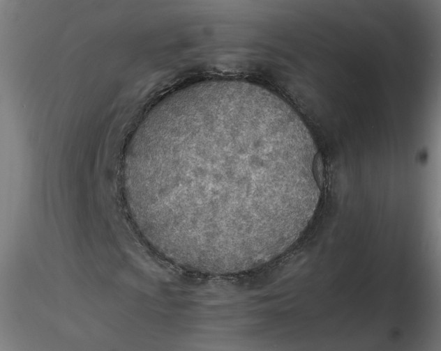 X0000116461009200912231356