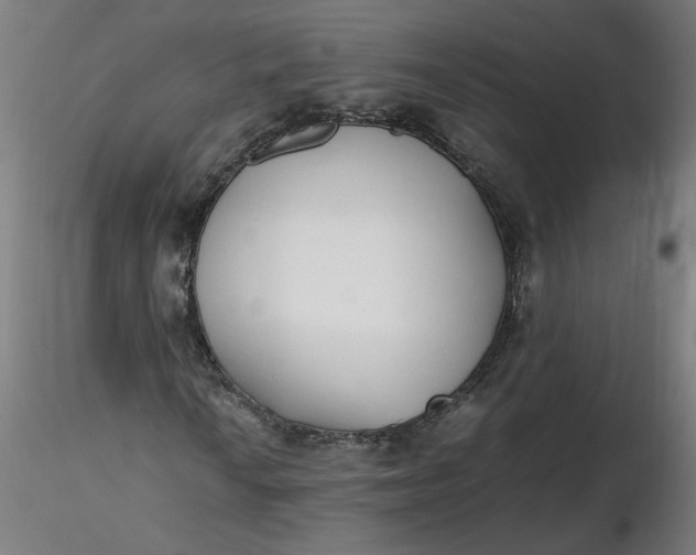 X0000116461010200912231356
