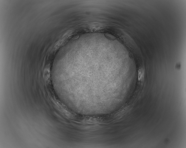 X0000116461011200912231356
