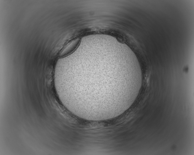 X0000116461012200912231356