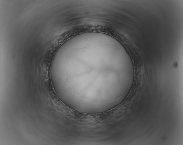 X0000116461013200912231356