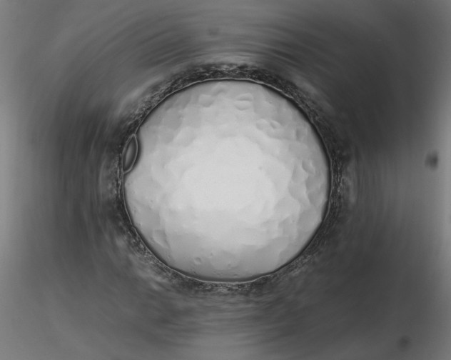 X0000116461014200912231356