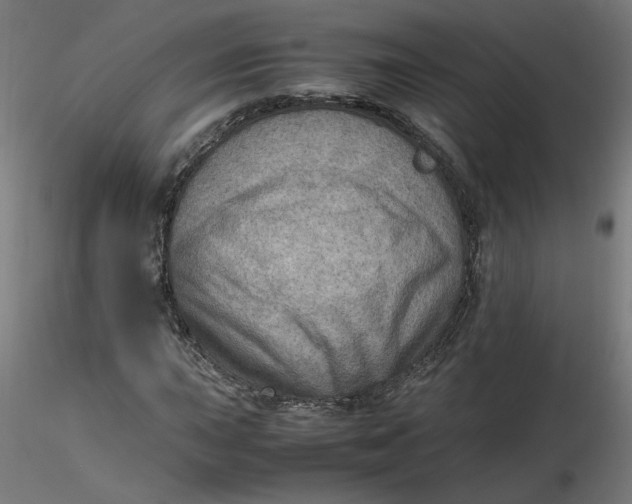 X0000116461015200912231356