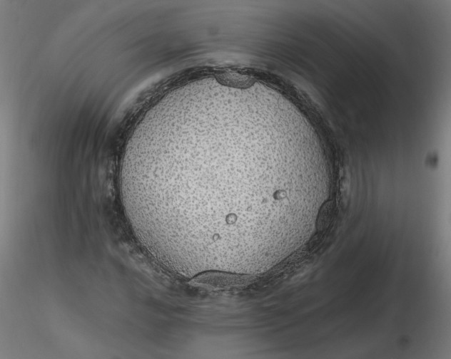 X0000116461016200912231356