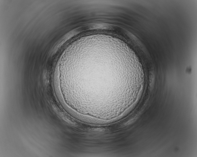 X0000116461017200912231356