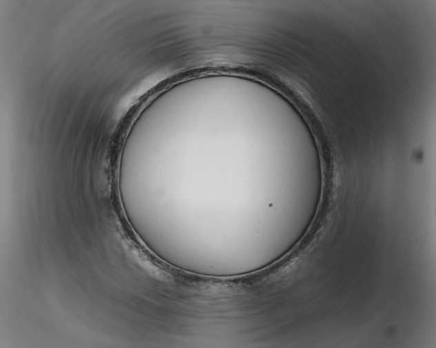 X0000116461018200912231356
